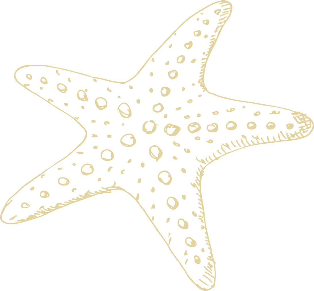 starfish